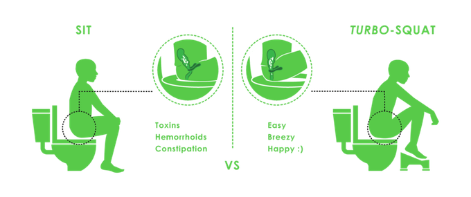 Turbo Fusion Toilet Posture Sit
