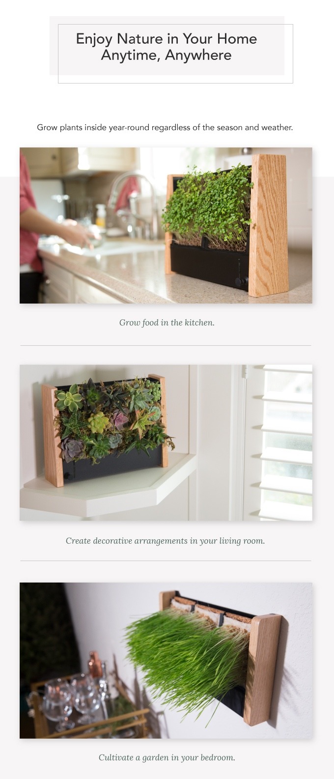 ecoqube frame vertical garden featured