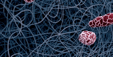 manhattan briefs - technology boxers fig 1