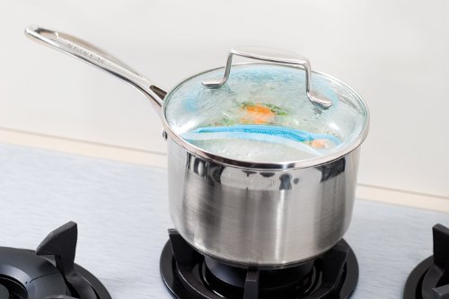 dreamfarm vebo steaming veggies