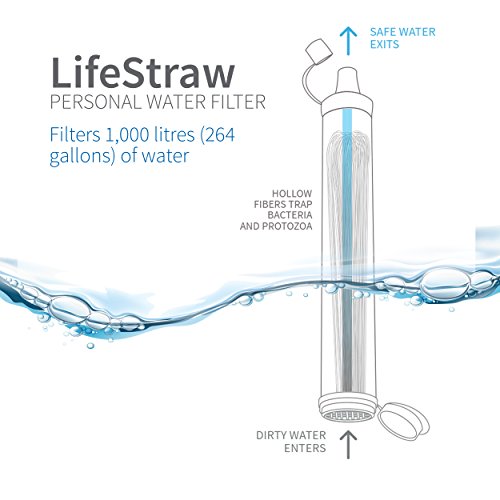 LifeStraw Personal Water Filter Legit Gifts