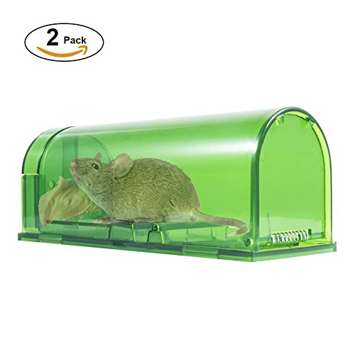 Humane Mouse Trap by Catcha - Catch and Release Rodents ...