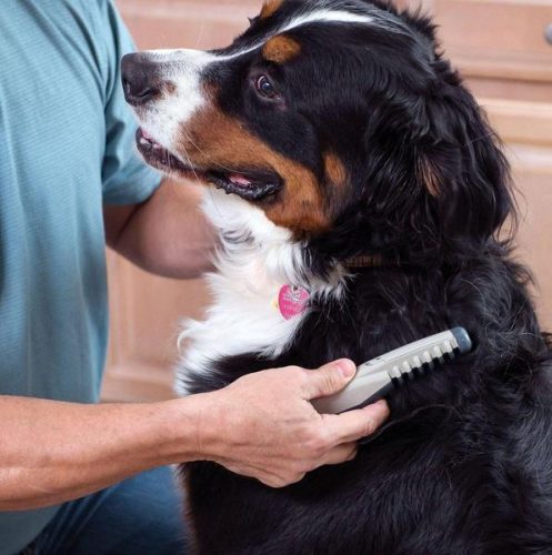 Knot Out - Electric Pet Grooming Comb