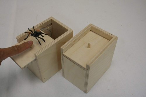 eHemco Amish Handcrafted Surprise Box with Spider