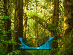Haven Tent: The Hanging Hammock For Camping