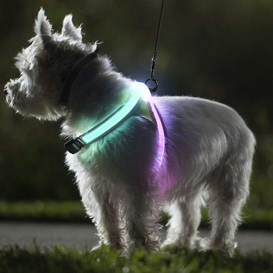 LED Dog Harness