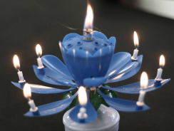Magical Rotating Lotus Flower Candle Is A Beautiful Birthday Surprise