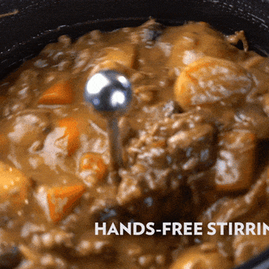 Master Sous All-In-One Cooking Device