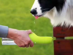 Pet Water Bottle Keeps Pets Hydrated On-The-Go