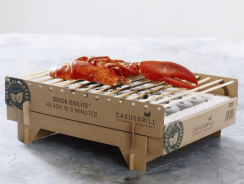 CasusGrill – The Biodegradable Instant BBQ