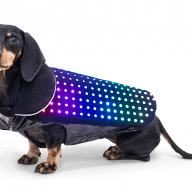 Dog Vest With Disco LED Lights – Smartphone Controlled