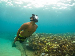 H2O Ninja 180° View Full Face Snorkel Mask