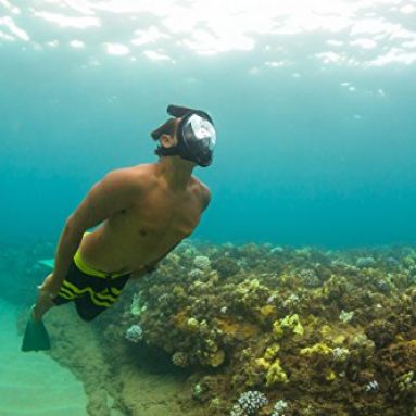 H2O Ninja 180° View Full Face Snorkel Mask