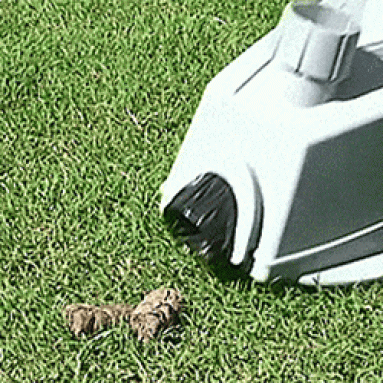 Dog Poop Vacuum
