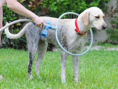 Woof Washer 360 – Easiest Way to Wash Your Dog