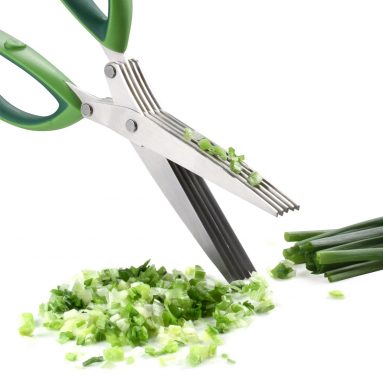 5 Blade Kitchen Scissors – For Cutting Herbs And More (Xpatee)